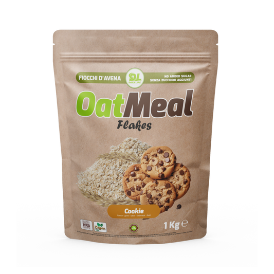 Daily Life Oatmeal Flakes Cookie