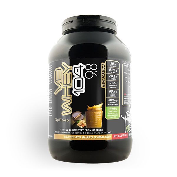 NET VB WHEY 104 9.8